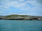 Pleistocene reef, beach, and dunes. Photo taken by Christopher Kendall